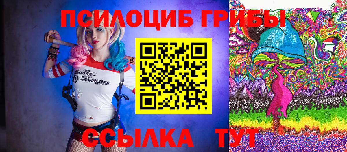 Галлюциногенные грибы Cubensis Ноябрьск